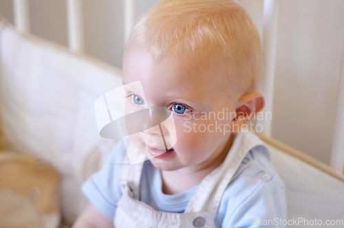 Image of Happy, kids and baby in the crib of a nursery in his home for growth, child development or curiosity. Children, bedroom and toddler with a male or boy infant sitting in his cot looking adorable