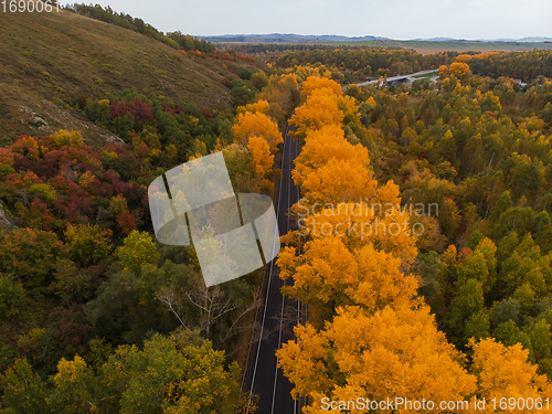 Image of Aerial view of road in beautiful autumn Altai forest