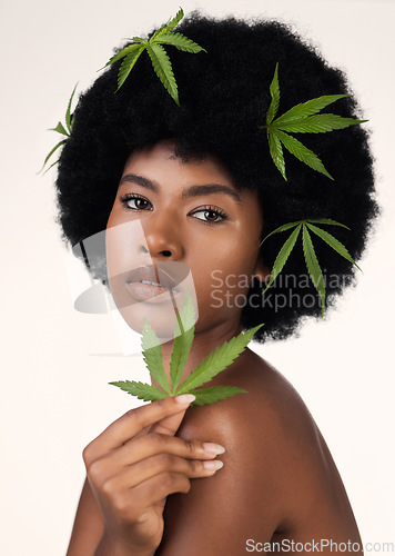 Image of Woman, leaves and CBD skincare in studio portrait, pride or organic cosmetics by white background. African girl, model or hemp for beauty, makeup or natural glow on skin for aesthetic, afro or health