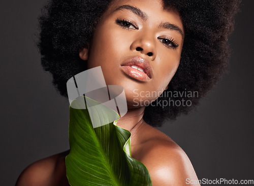 Image of Black woman, face and leaf, natural beauty and eco friendly cosmetics with portrait on studio background. Facial, afro and African female model, skincare and glow with sustainable dermatology