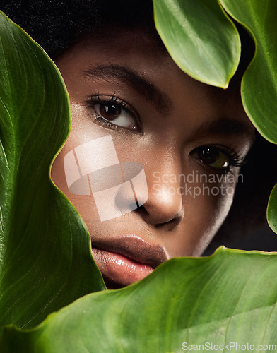 Image of Closeup, face of black woman and leaves for natural skincare, nature and eco friendly beauty on studio background. Facial, green and African female model in portrait, skin and sustainable dermatology