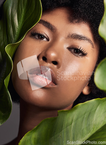Image of Face, black woman and leaves with natural beauty, nature and eco friendly skincare and portrait on studio background. Facial, green and African female model with skin glow and sustainable dermatology