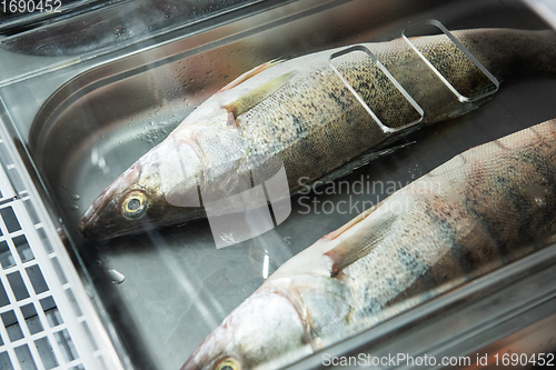 Image of Fish and seafood stall in a market