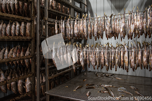 Image of Smoked fish production concept