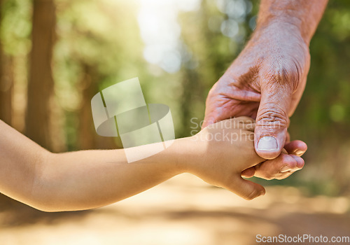 Image of Closeup, holding hands and senior man with son, forest or support with peace, love or care with bonding. Zoom, male person or kid touching palms, helping hand or freedom in nature, adventure and walk