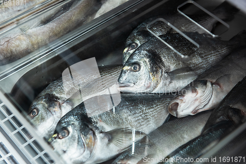 Image of Fish and seafood stall in a market