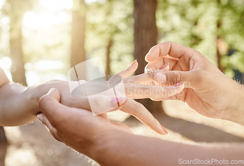 Image of Closeup, hand and engagement ring in forest for love or commitment with couple in woods. Proposal, nature and jewellery in outdoor for special occasion to save the date for marriage celebration.