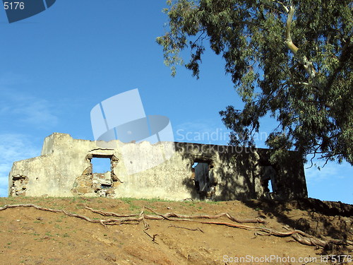 Image of The old house and the tree. Cyprus