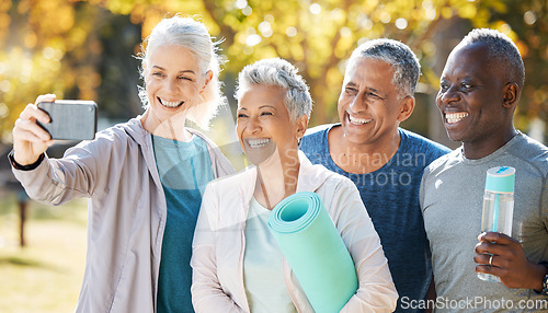 Image of Selfie, fitness and senior people in park exercise, workout and social media, healthcare or retirement group. Happy Yoga class, diversity women or friends in profile picture and training gear outdoor