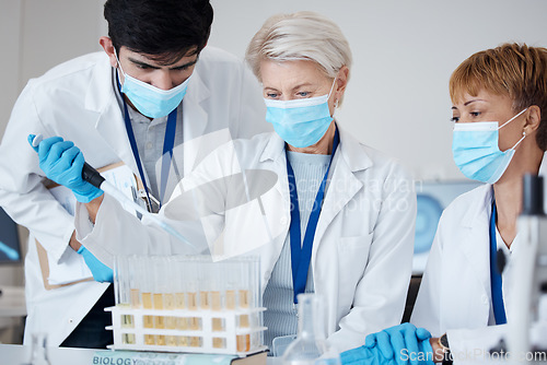 Image of Research, covid team and employees in a lab for healthcare innovation, medical analytics or science. Medicine, education and scientists with face mask and teamwork to study a liquid or chemical