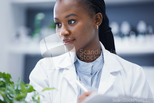 Image of Plants, black woman or scientist writing notes for research, agro data analysis or sustainability growth. Science education, studying biotechnology or biologist in laboratory for leaf development