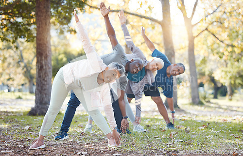 Image of Yoga, park and old people stretching, fitness and exercise with happiness, wellness and stress relief. Senior women, nature and elderly men outdoor, relax and workout goal with progress and health