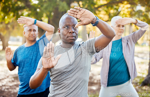 Image of Fitness, tai chi and senior people in park for healthy body, wellness and active workout outdoors. Yoga, sports and men and women stretching in nature for exercise, training and pilates in retirement