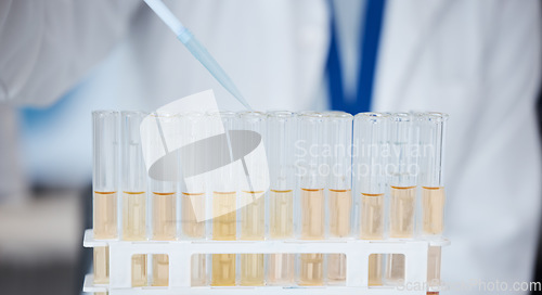 Image of Pipette, test tube and scientist with liquid for research, experiment and sample. Science, medical professional and doctor with dropper for chemistry, medicine and healthcare study in laboratory.