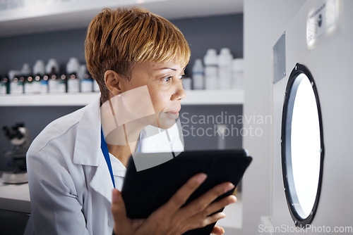 Image of Scientist, tablet and woman in laboratory with incubator machine for test, analysis or research study. Technology, medical professional and doctor of science check equipment for biology experiment.