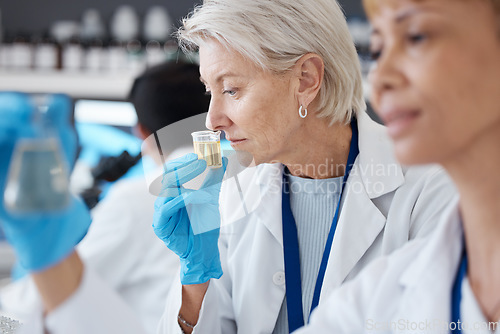 Image of Essential oil, development and scientist smell sample in a lab doing research of organic and natural fragrance. Serum, treatment and collagen expert working on a skincare, perfume or beauty product