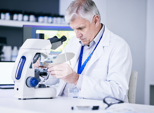 Image of Mature scientist, man and microscope, review and analysis for science study, medical research and biotechnology in lab. Male person, doctor and pathology, check test sample with scientific experiment