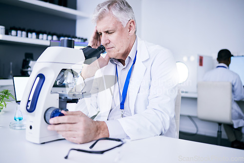 Image of Headache, microscope and scientist man with research stress, results fail or virus analysis in laboratory. Pain, tired and science person or senior doctor in biotechnology with healthcare problem