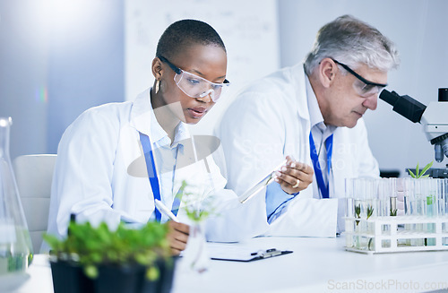 Image of Science, agriculture and innovation with doctors in a laboratory together for sustainability or research. Medical, sample and green pharmaceuticals with a scientist team in a lab to study plants