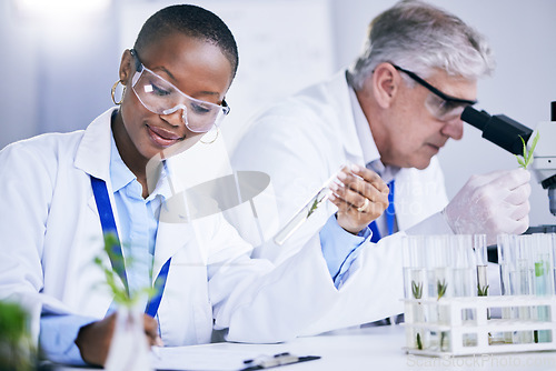 Image of Science, agriculture and research with doctors in a laboratory together for sustainability or innovation. Healthcare, medical and pharmaceuticals with a scientist team in a lab to study plants