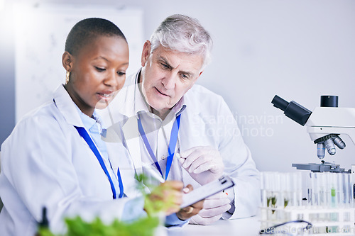 Image of Paperwork, teamwork or scientist writing research notes for analysis on experiment, medical info or innovation. Science, collaboration or researchers in laboratory with documents for agro development