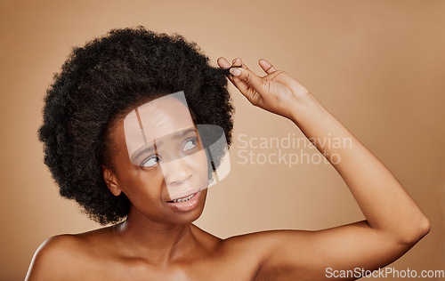 Image of Worry, black woman and hair loss problem for afro in studio isolated on a brown background. Crisis, hairstyle and frustrated African model with split ends, frizz and damage in natural salon treatment