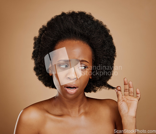 Image of Worry, black woman and hair problem for afro in studio isolated on a brown background. Damage, hairstyle and sad African model with split ends, frizz and loss after natural salon treatment for beauty