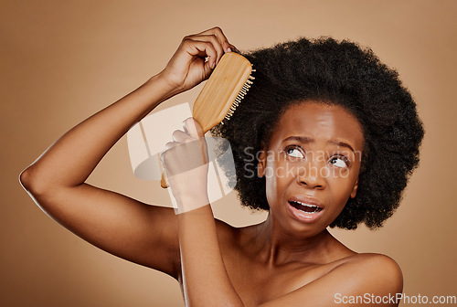 Image of Black woman, problem and brushing hair in studio, brown background and tangled afro. Beauty, unhappy female model and comb knot in hairstyle with anxiety, pain and stress of damage to curly texture