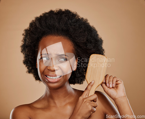 Image of Black woman, hair problem and pain with brush in studio, brown background and dry tangled afro. Beauty, unhappy female model and comb knot in hairstyle with anxiety, stress or damage to curly texture