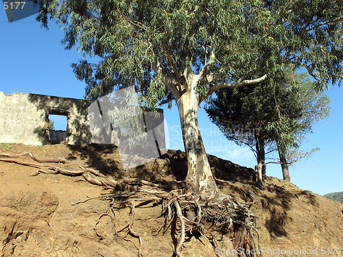 Image of The old house on the hill. Cyprus