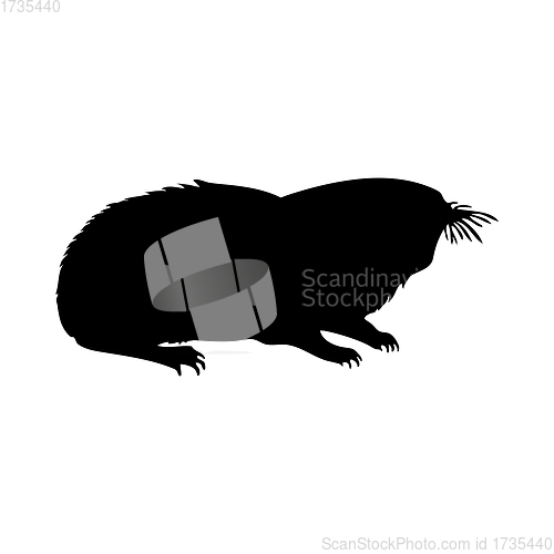 Image of Mole-Rat Silhouette