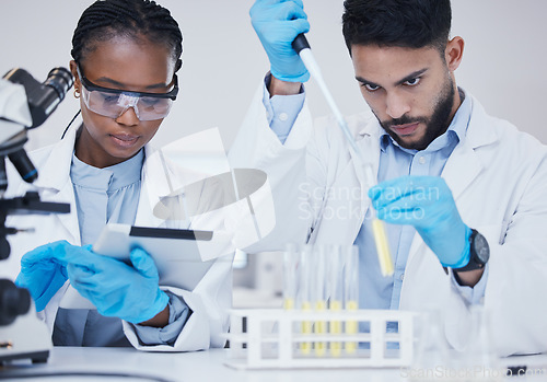 Image of Man, black woman or scientists with test tubes in research for medical, experiment assessment or innovation. Tablet, studying biotechnology or researchers team in laboratory for science development