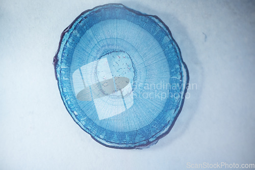 Image of Virus molecule, closeup and lab for science, medical research or study for biology in pharma industry. Zoom, atom or cell of bacteria for data, microscope view or investigation for health innovation