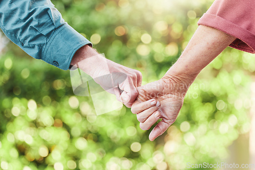 Image of Senior couple, garden and holding hands with support and love in outdoor with commitment. Together, hand and elder person for retirement in close up with friends walking in nature for bonding.