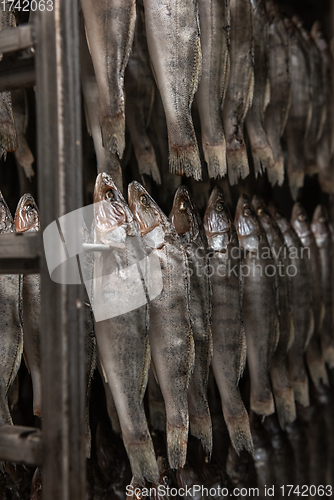 Image of Smoked fish production concept