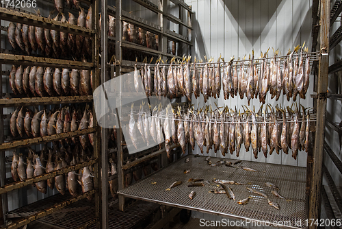 Image of Smoked fish production concept