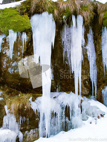 Image of Icicles, rock face and moss on cliff outdoor in nature, waterfall and mountain ecology in winter. Frozen ice hanging on stone at landscape, crystal and natural snow covering environment in Europe