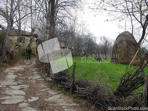 Image of Soldier, military patrol and road in the countryside with a man walking on a farm during a war or battle. Army, officer and peace mission with a person in a rural village for border security