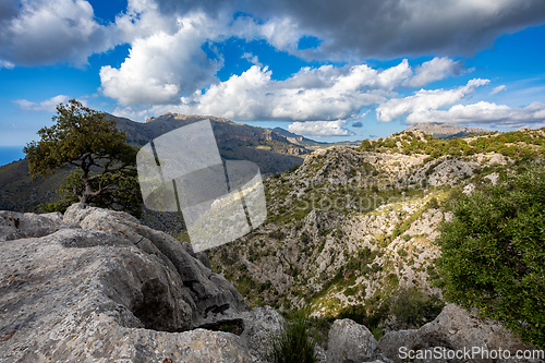 Image of Mirador Coll de Reis, Nudo de Corbata, Serra de Tramuntana mountain Balearic Islands Mallorca Spain.