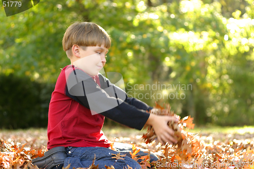 Image of Child playing in leaves