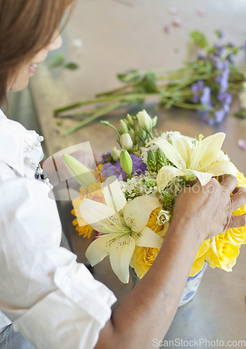 Image of Flowers, florist and hands of small business owner doing floral product, quality check or bouquet in a store or shop. Arrangement, plant and person or entrepreneur for sustainable market service