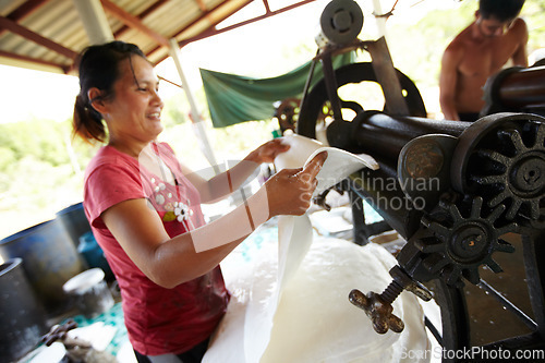 Image of Rubber, industry and Asian woman with roller in workshop, factory and outdoor warehouse in nature. Manufacturing, plantation and person with machine for rolling latex, plastic and material production