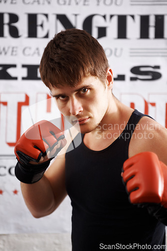 Image of Man, portrait and professional fighter with boxing gloves in martial arts or MMA sports for self defense in dojo. Serious male person, athlete or boxer ready for fight, match or muay thai at the gym