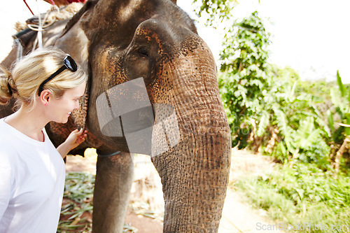 Image of Travel, conservation and woman with elephant in a jungle for adventure, freedom and experience. Nature, wildlife and female tourist in Thailand bonding with animal in forest with environment and fun