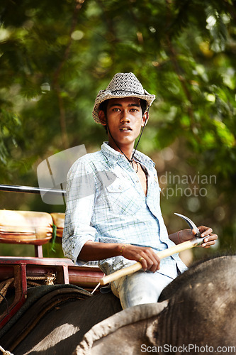 Image of Indian, man and portrait of trainer riding on back of elephant for wildlife, animal rescue and outdoor. Sanctuary, face and person in nature for transportation, adventure or conservation in forest