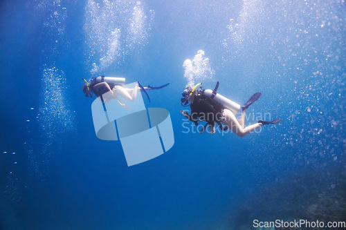 Image of Friends, swimming and scuba diving for underwater adventure, explore ocean and tropical holiday or vacation. Sports people, tourist or diver with bubbles, blue water and search for sea life or coral