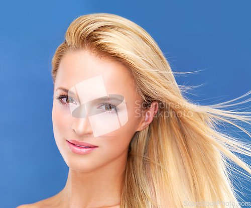 Image of Portrait, beauty and wind of a woman closeup in studio on a blue background for natural wellness or cosmetics. Face, skincare and shampoo for hair with a young model at the salon for dermatology