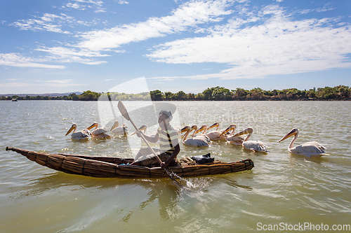 Image of Man on a traditional and primitive bamboo boat feeding pelicans on Lake Tana