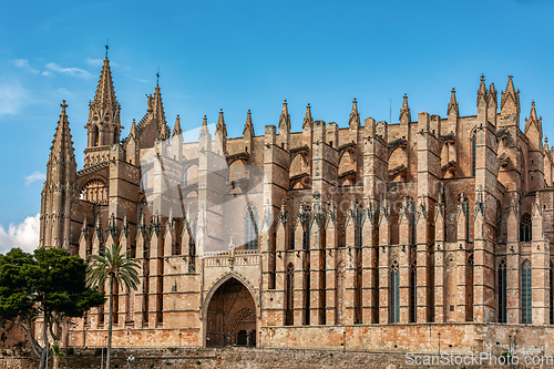 Image of Gothic medieval cathedral La Seu and Royal Palace of La Almudaina. Palma de Mallorca. Balearic Islands Spain.