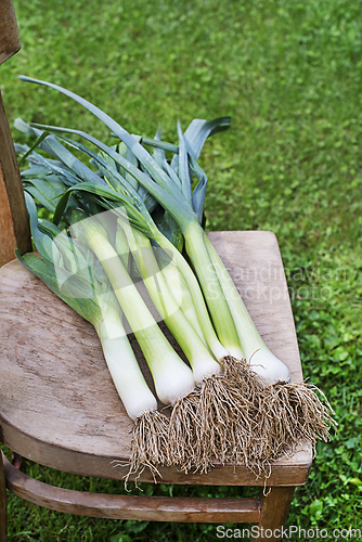 Image of Leeks